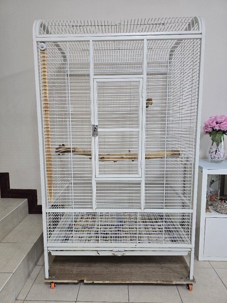 Big parrot cage - 3