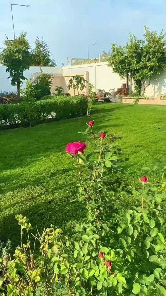 تنسيق الحدائق وشبكات الري - 8
