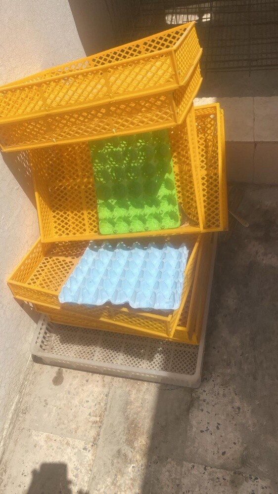سلال للفقاسة للبيع 55963257 - 1