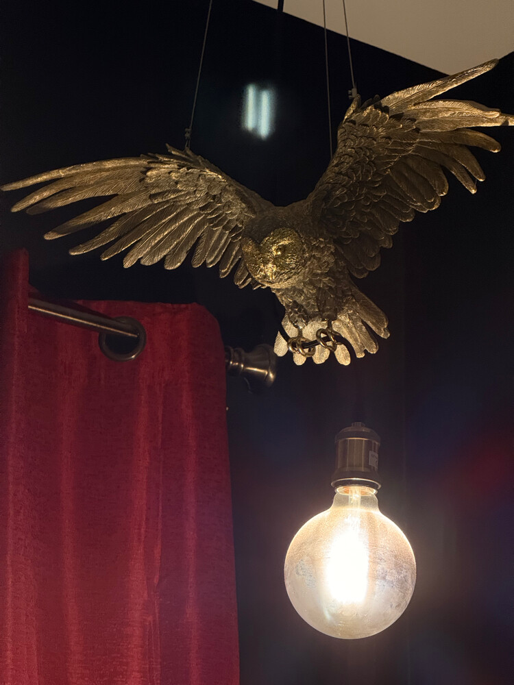 owl Ceiling light - 1