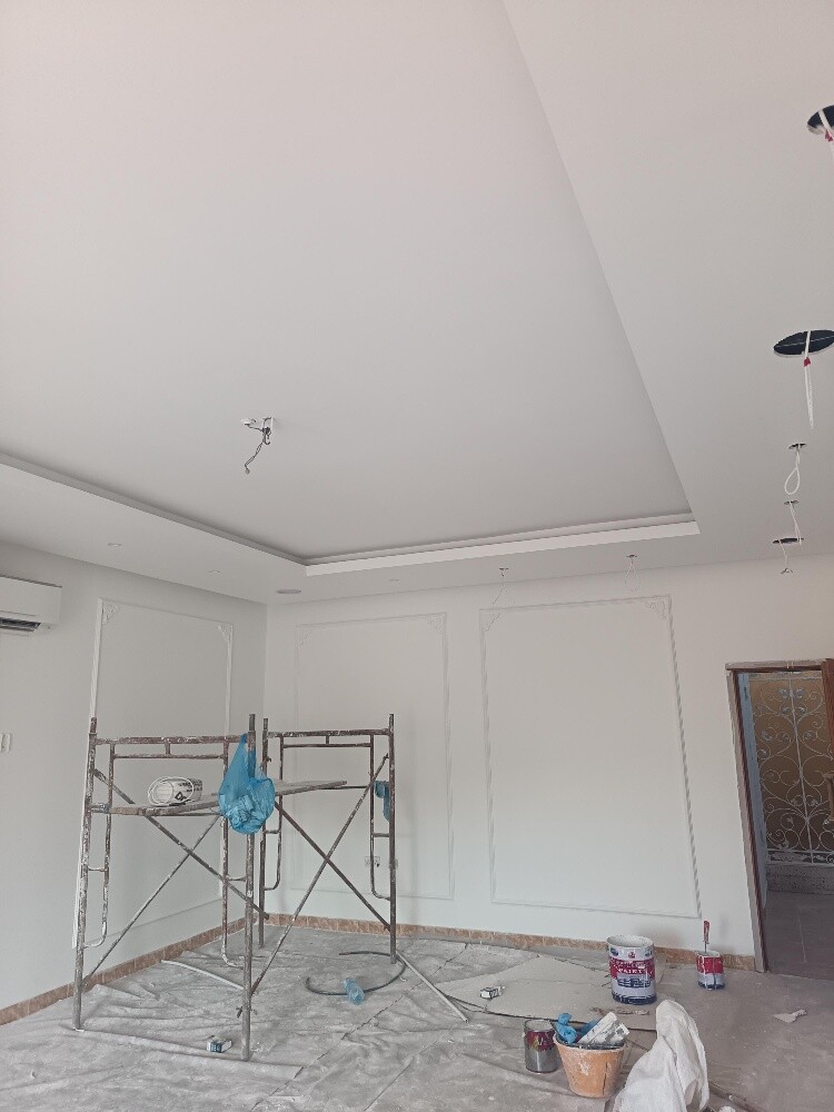 ZYBSUM  PAINTING DECOR PAIRTTION - 8