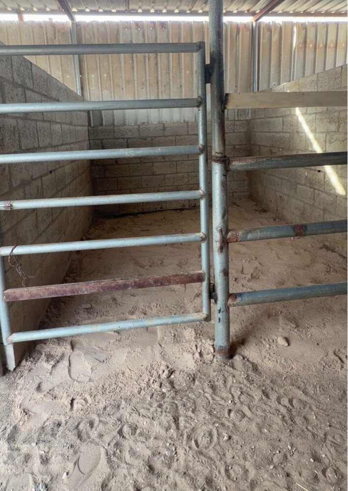 إيواء خيل - 2
