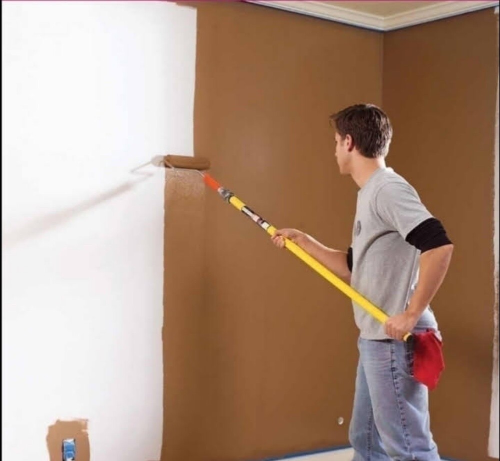Highly experienced painter in all t - 2