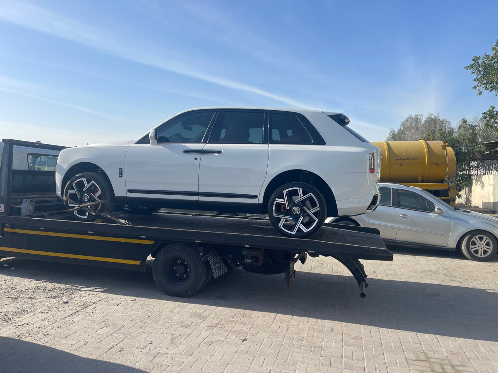 بركدون فل داون - 3