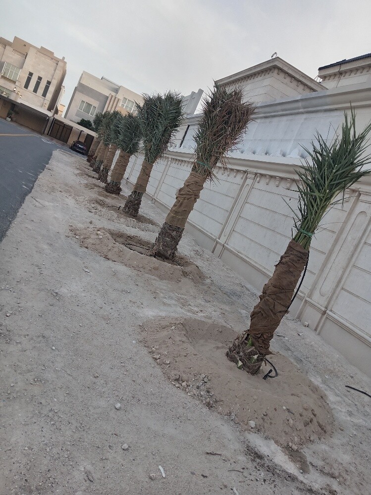 زراعه وديكور - 1