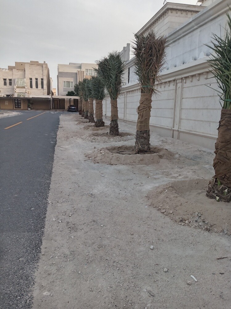 زراعه وديكور - 2