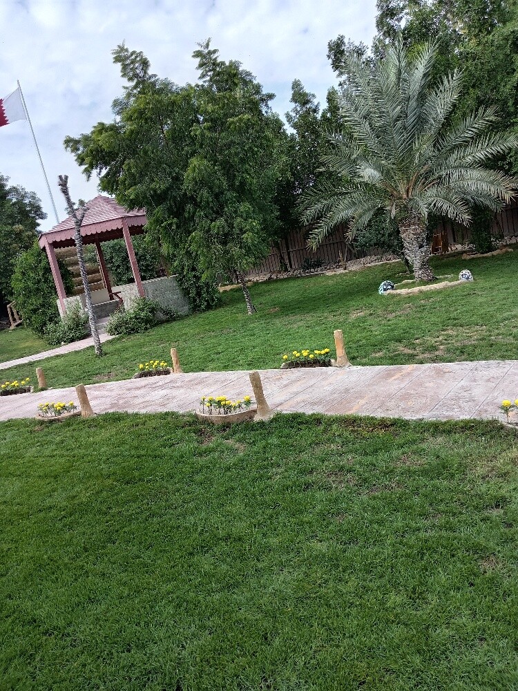 زراعه وديكور - 1