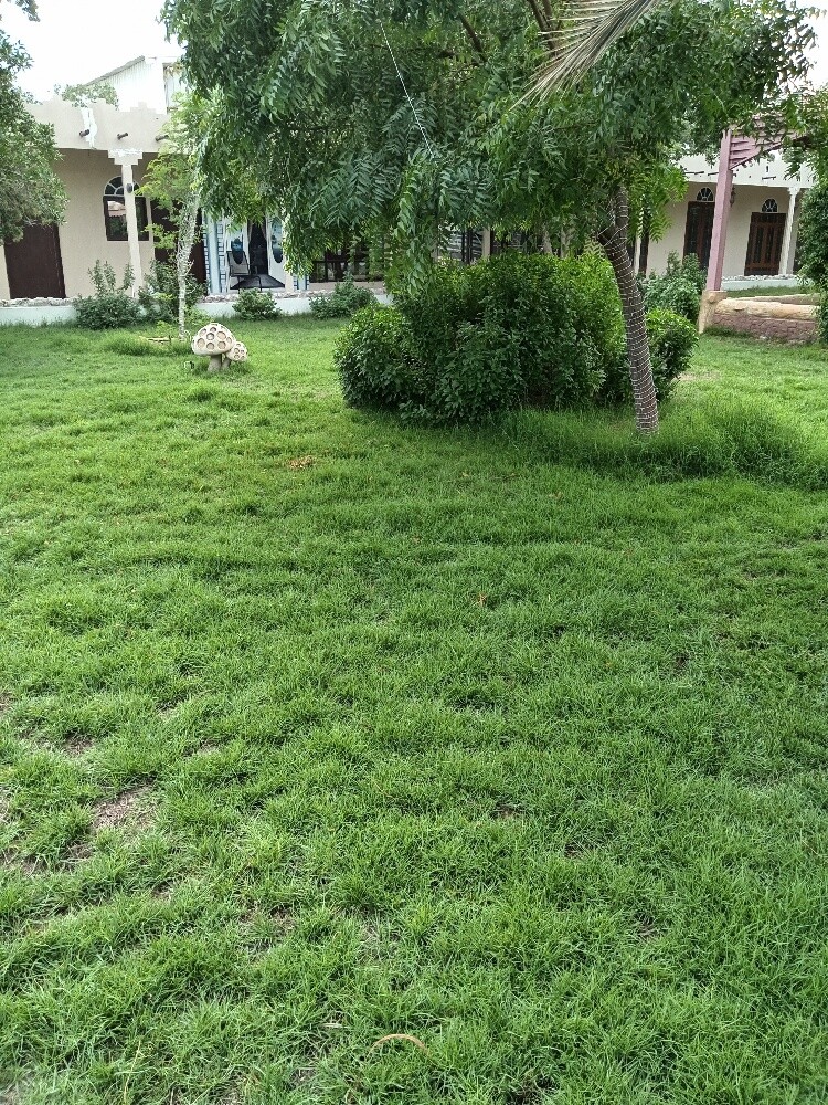 زراعه وديكور - 2