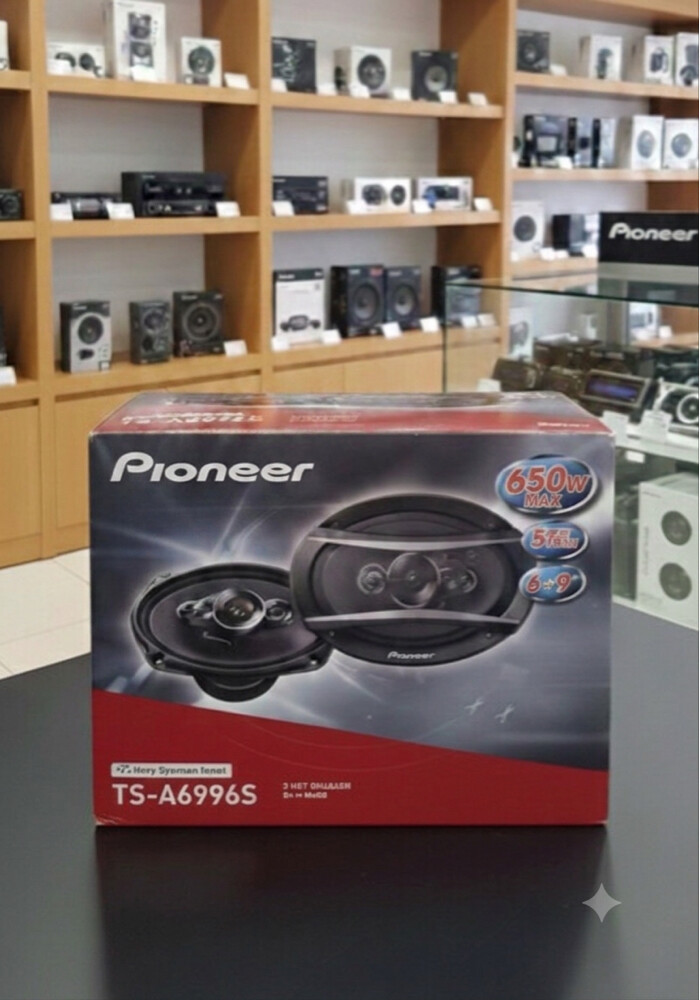 Speaker Pioneer - 1