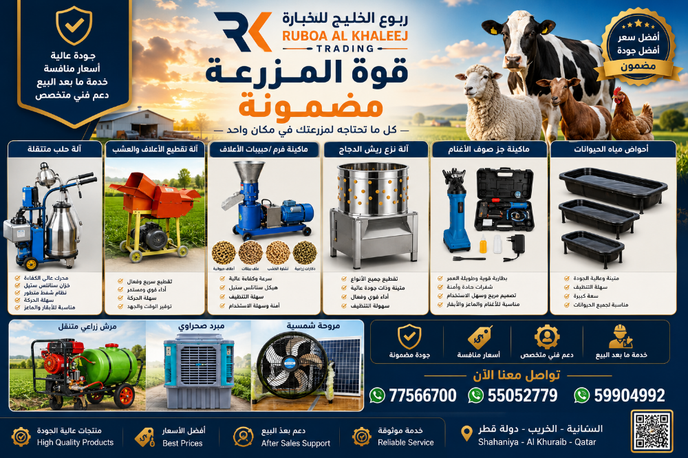 يوجد دجاج بلدي و جهاز الدجاج - 4