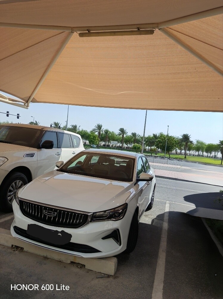 geely emegrand - 1