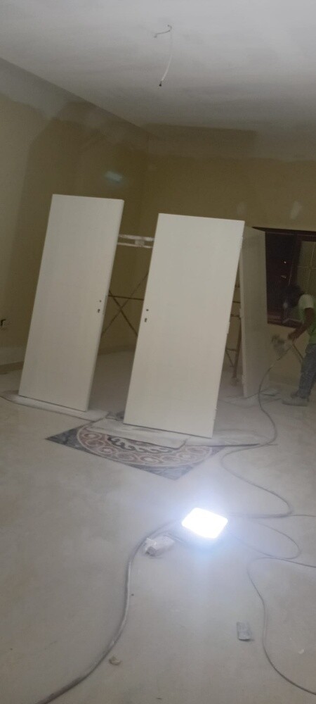 Professional Carpenter & Painter - 2