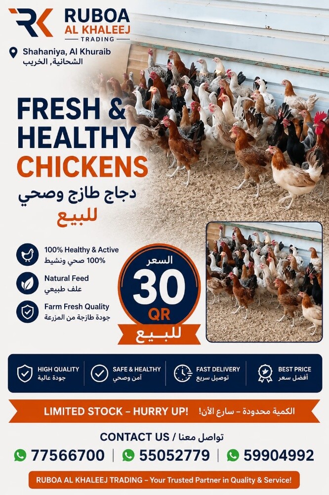 chicken - 2