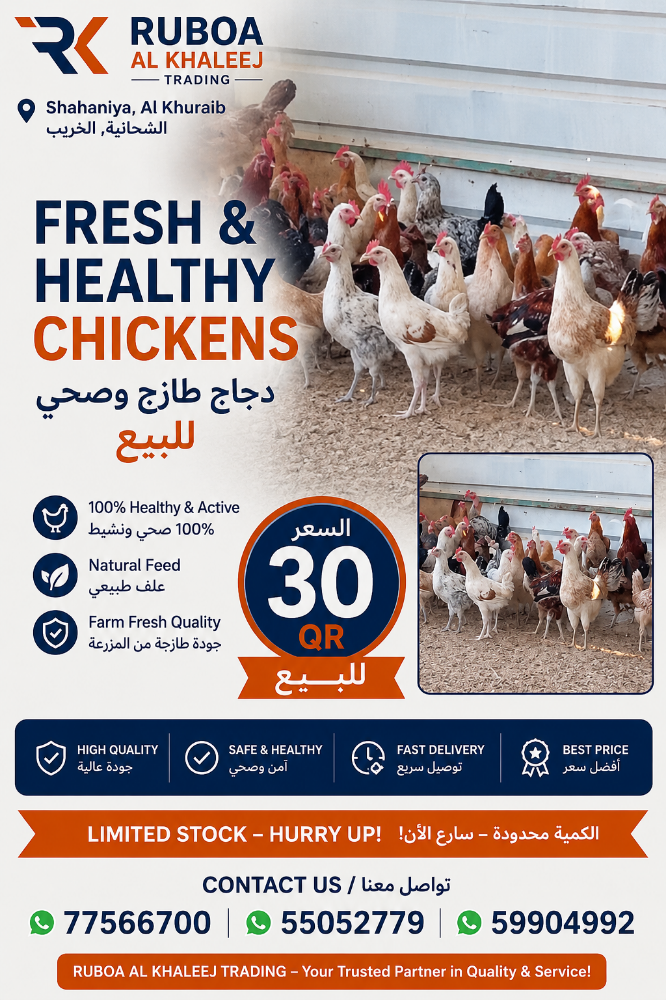 chicken - 3