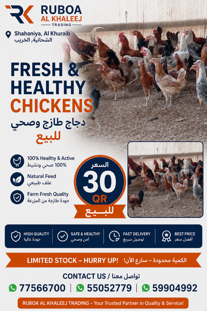 chicken - 2