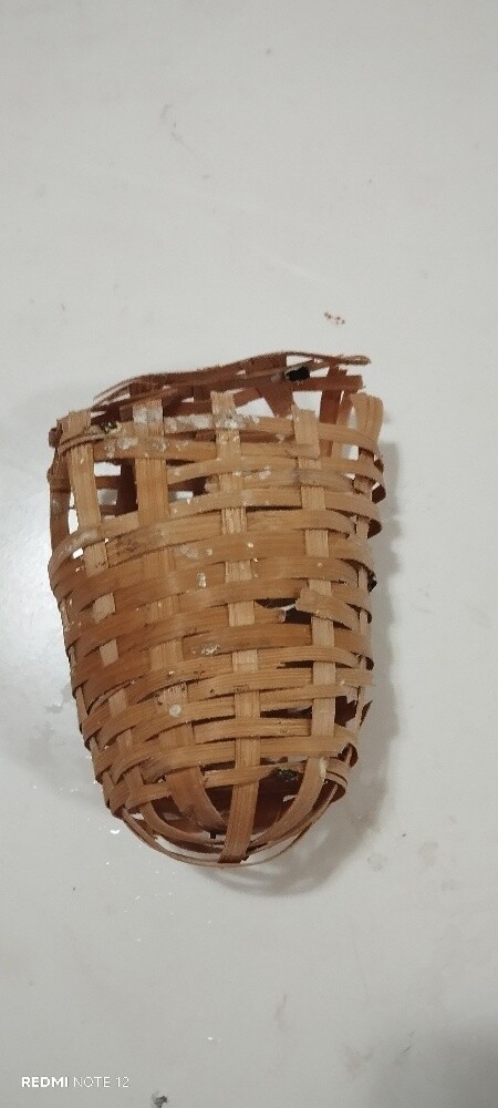 big cage - 6