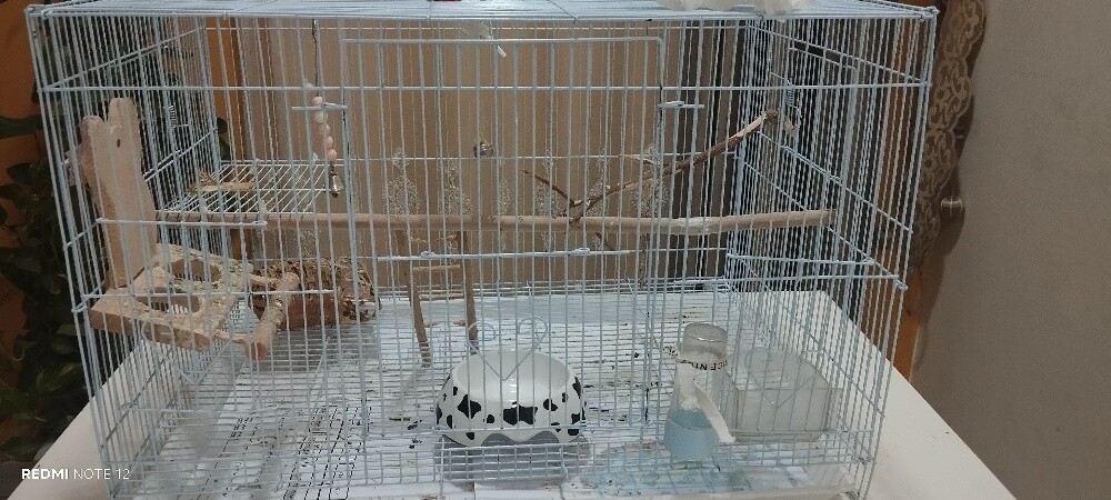 big cage - 1