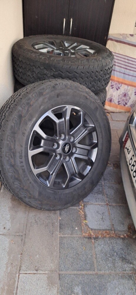 طوائر + رنجات - 2