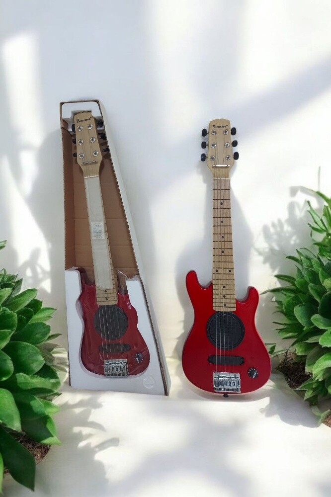 Electric guitar - 3