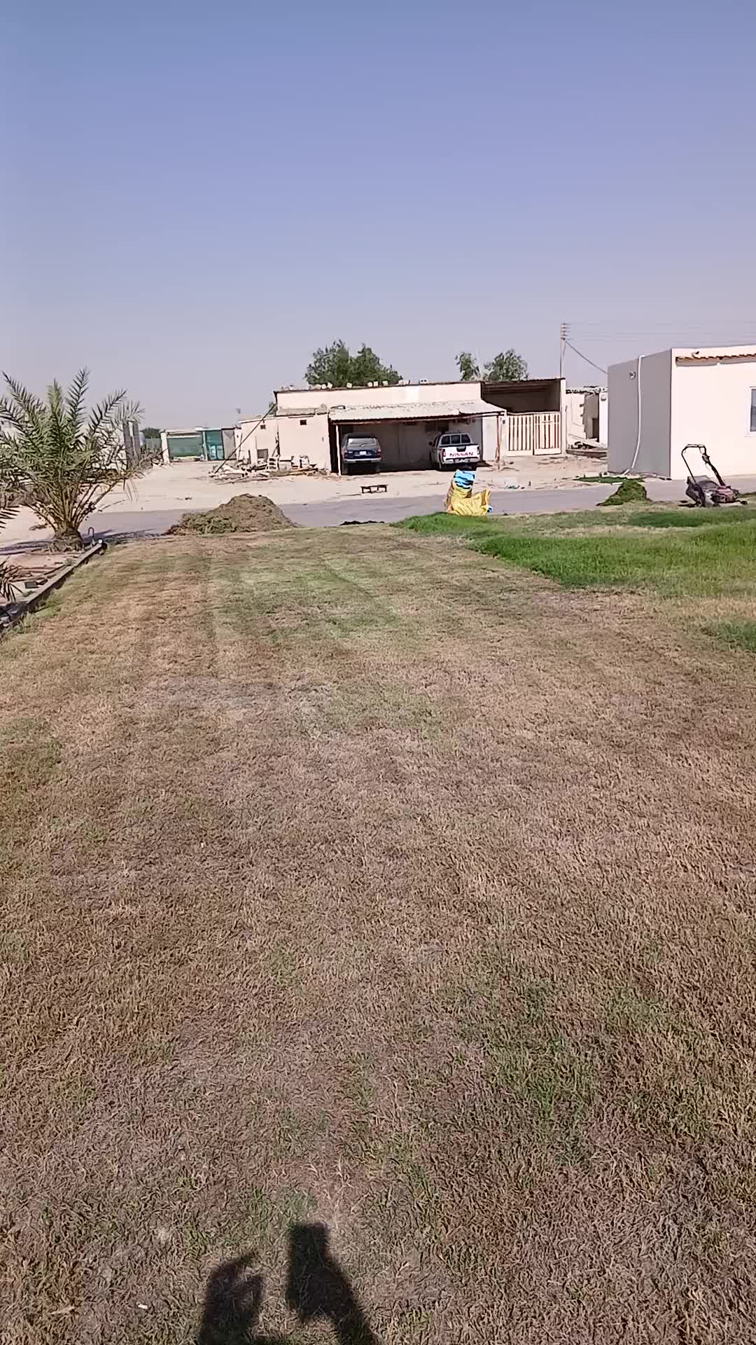 تنظيف حديقه قديمه - 1