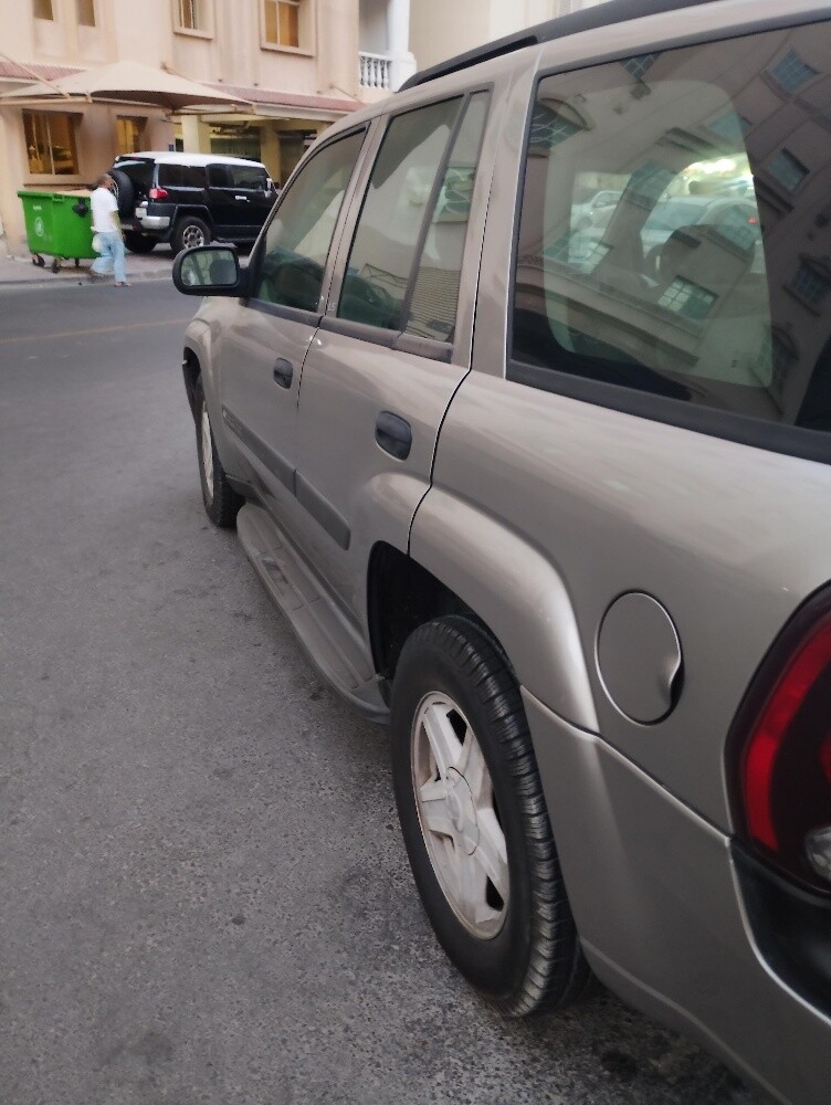 Chevrolet Trailblazer for sale - 9