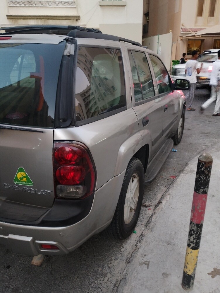Chevrolet Trailblazer for sale - 2