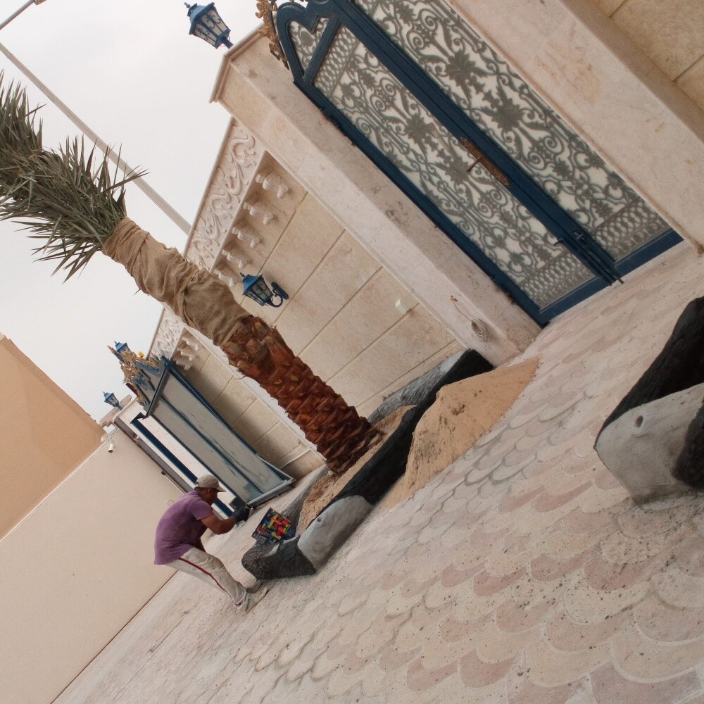 زراعه النخل - 2