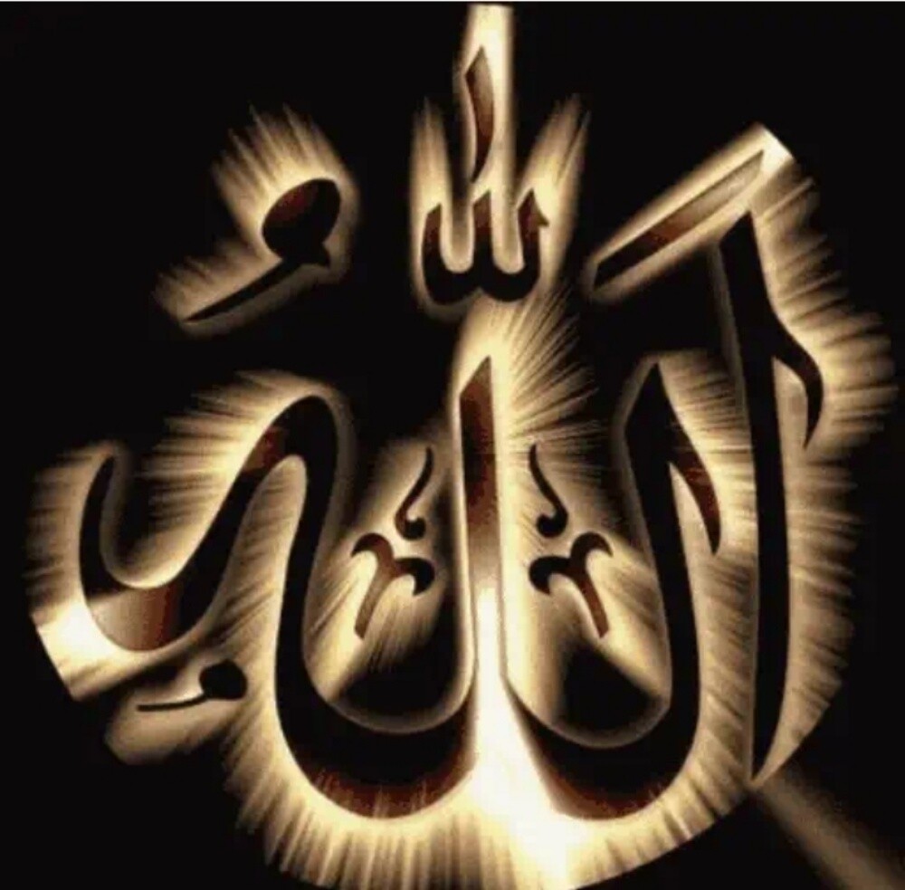 قطع الاشجار والنخل - 1