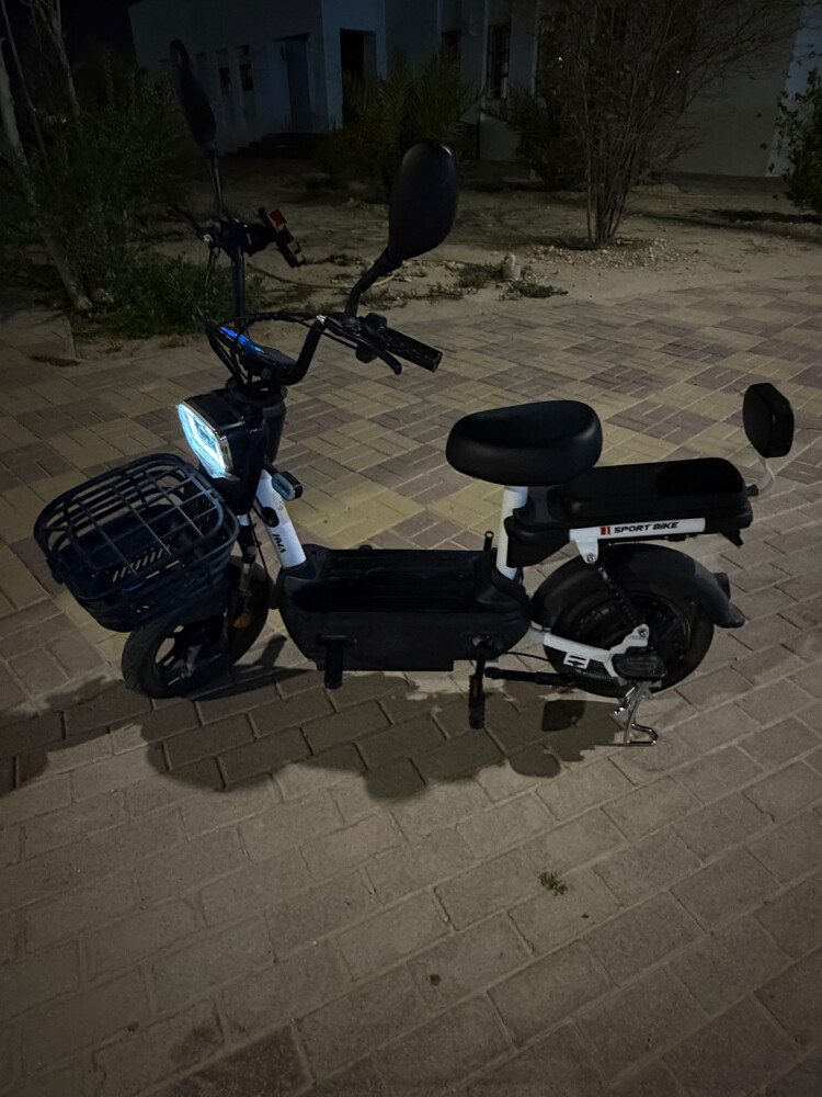 Electric Bike for Sale - 1