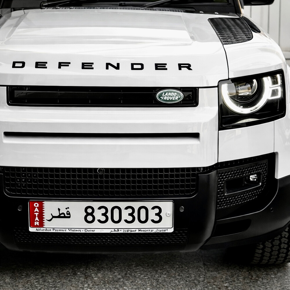Special Plate Number - 2