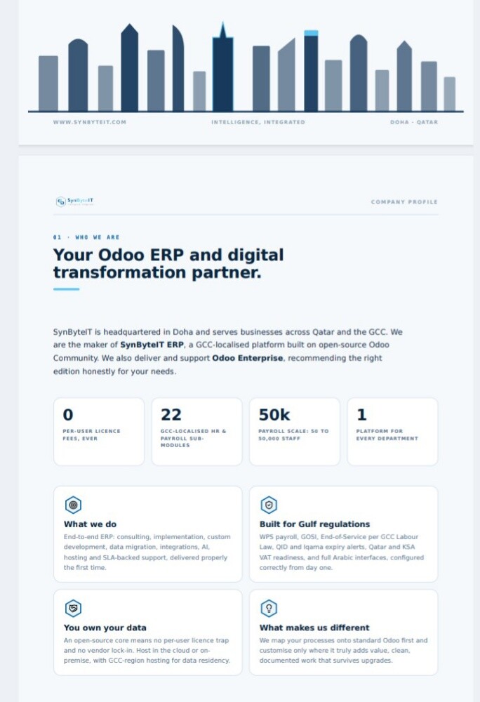 Your ERP, built for you - 2