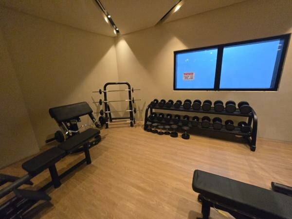 For Rent|S/F 1BHK| LUSAIL - 8