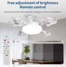 Fan Light: 2-in-1 - 3