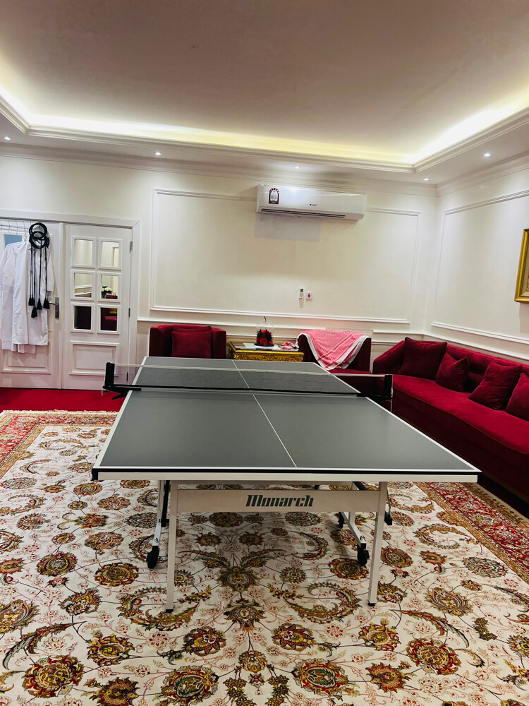 table tennis  - 3