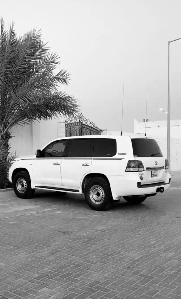 للبيع - 2