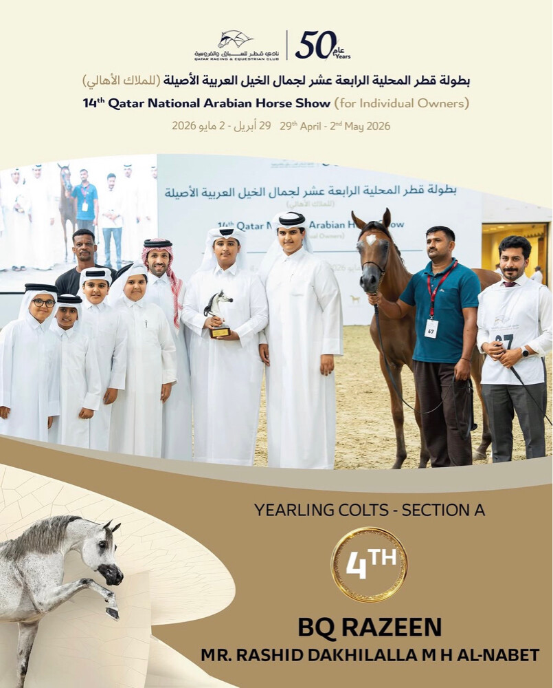 مدرب خيل عربيه و عارض  - 2