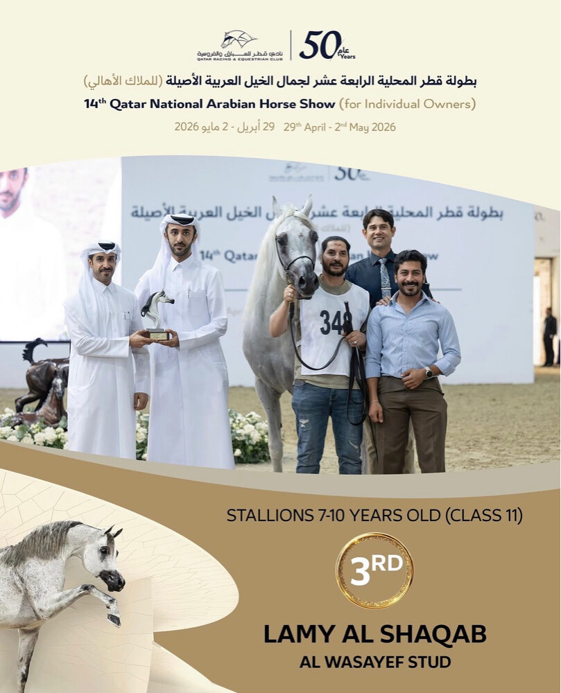مدرب خيل عربيه و عارض  - 4