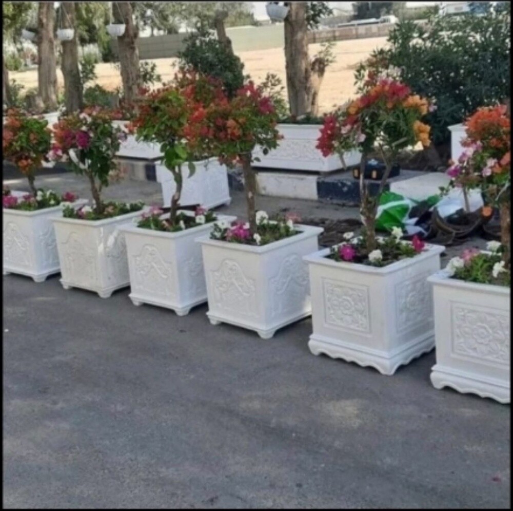 زراع - 3