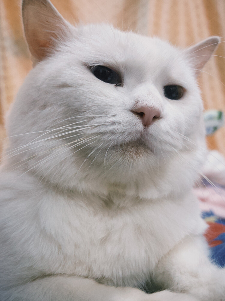 zuko - 6