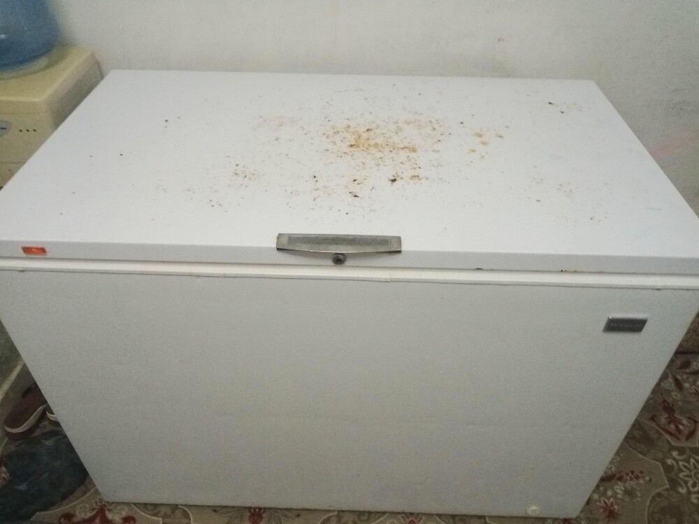 freezer for sale - 2