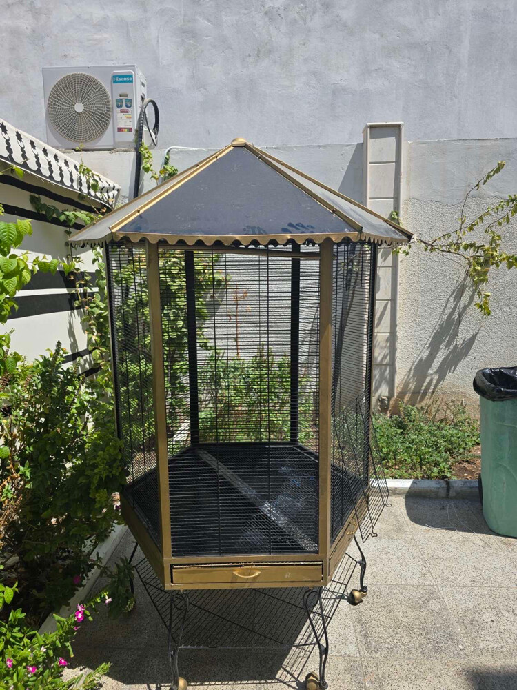sale cage - 1