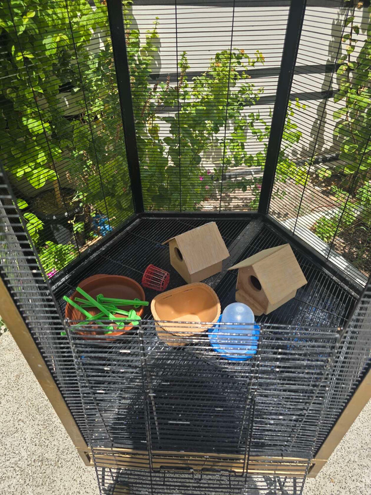 sale cage - 8