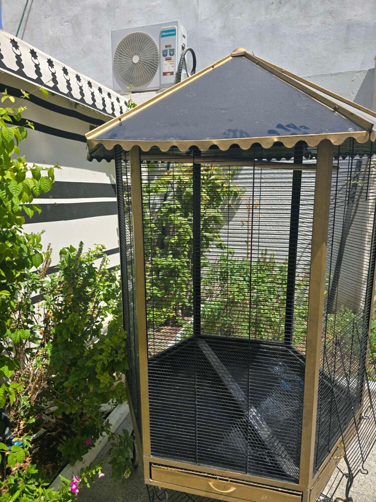 sale cage - 6