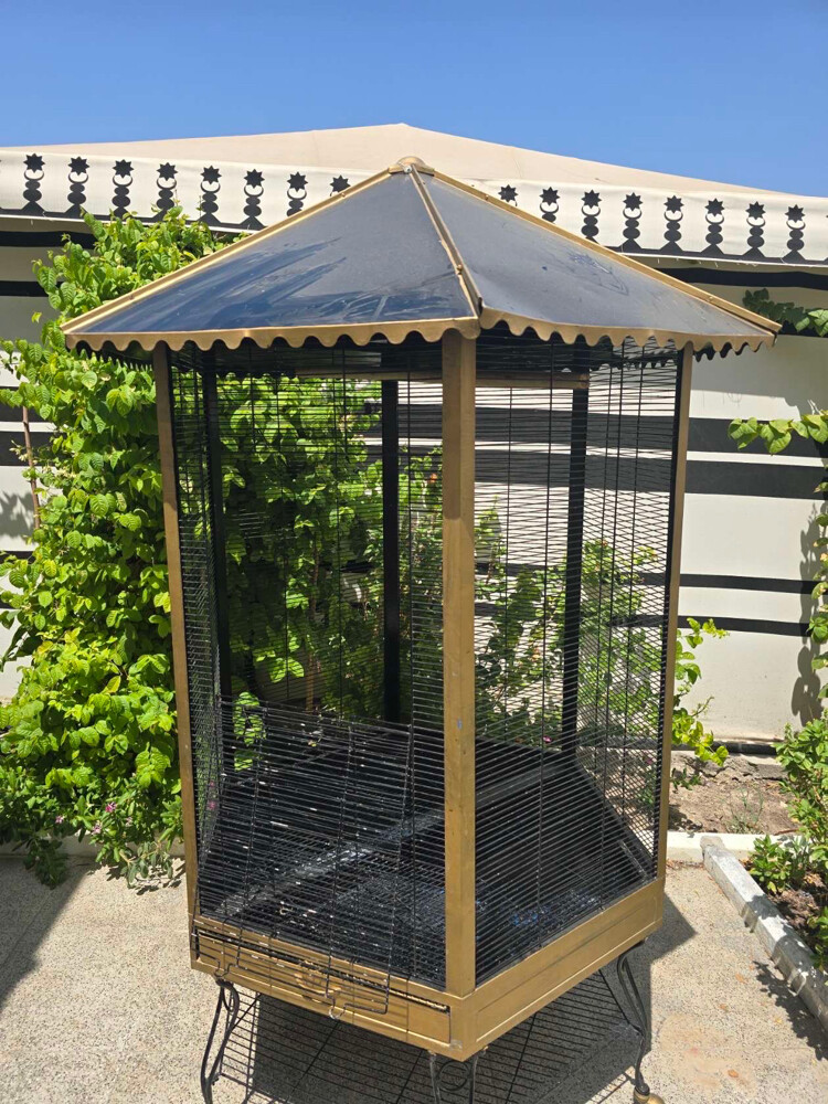 sale cage - 9