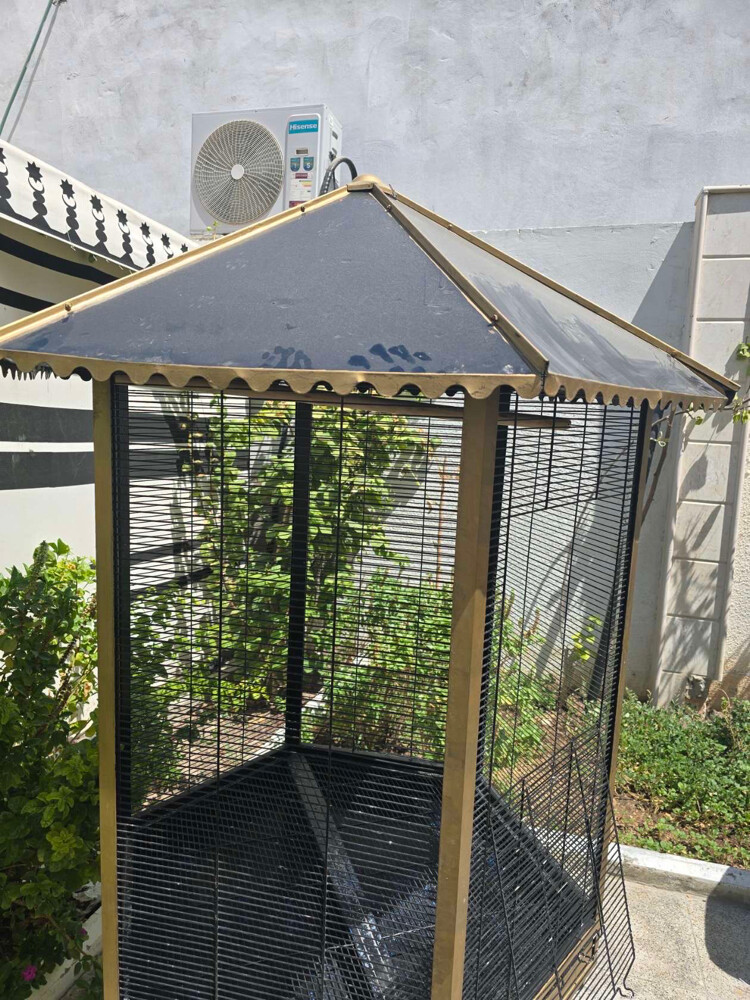 sale cage - 5
