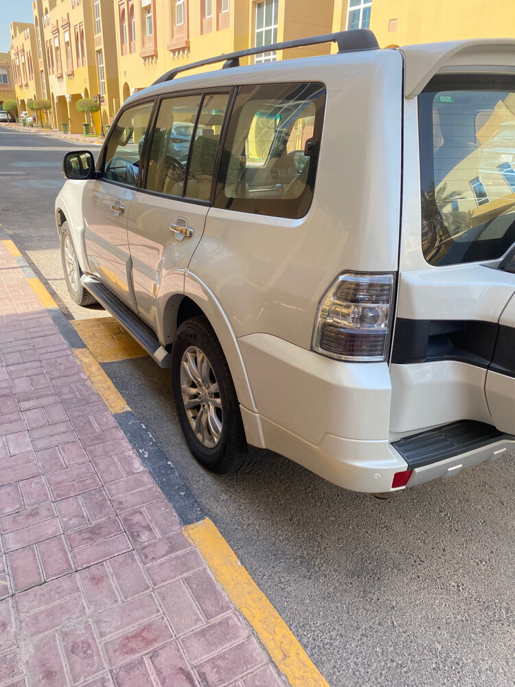 باجيرو 2018 - 6
