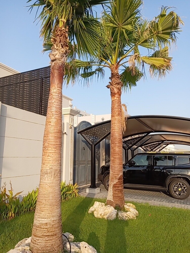 زراعه وديكور - 4