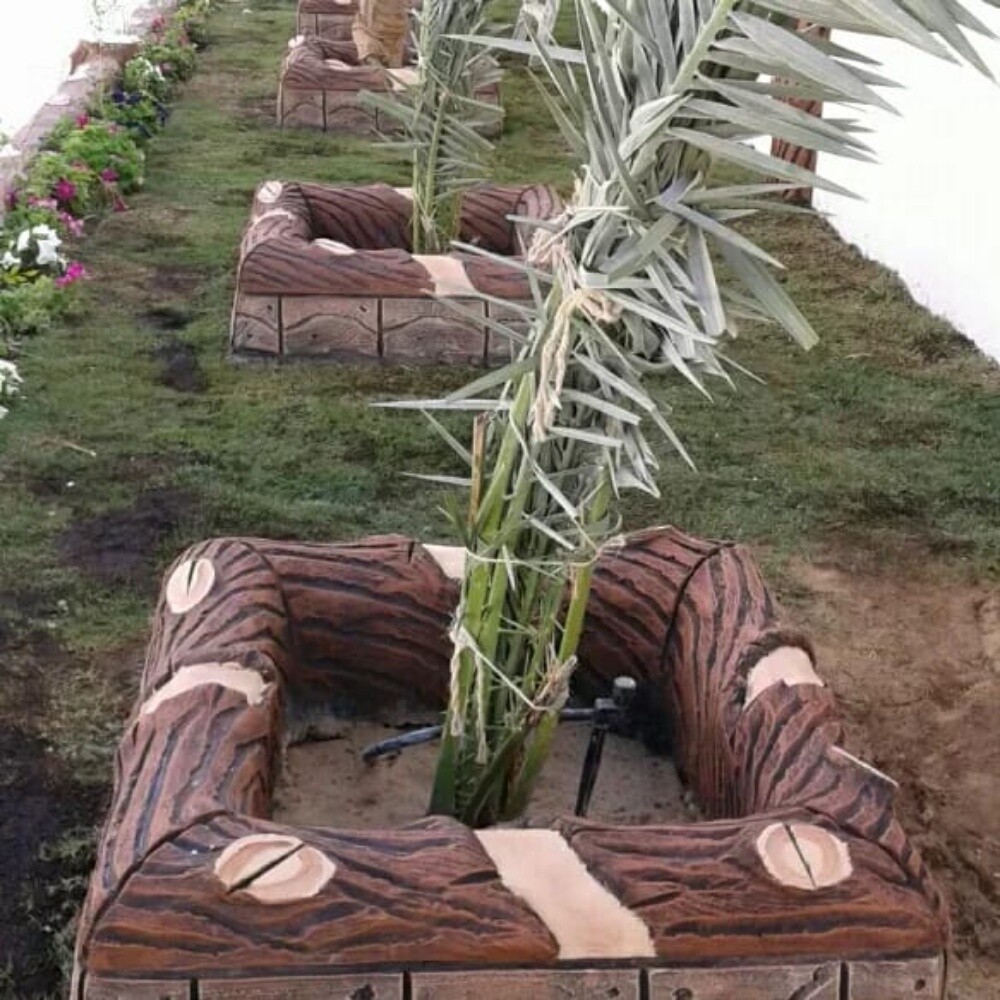 ديكور الجذور - 3