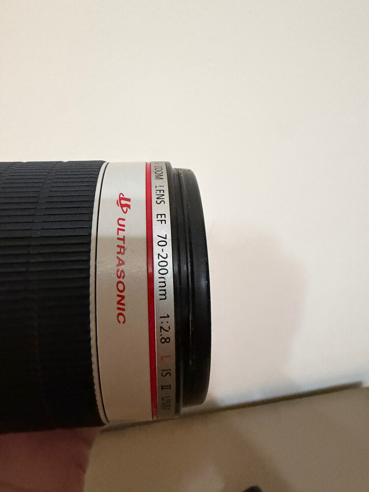 canon 70 200 mark ii - 2