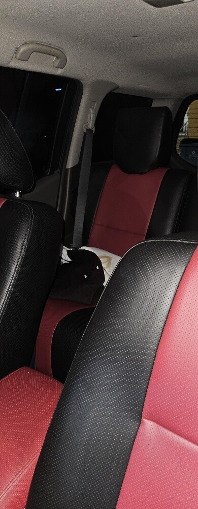 Nissan Xterra 2012 - 6